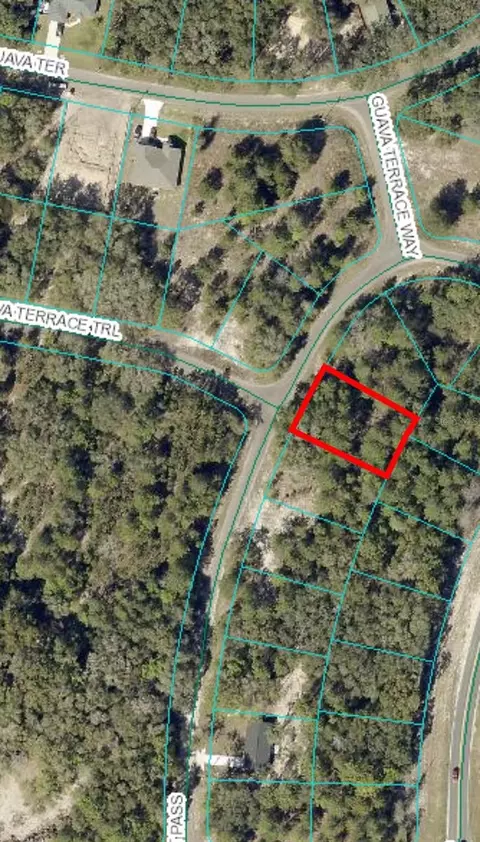 0 Guava Ter Trl, Ocklawaha, FL 32179