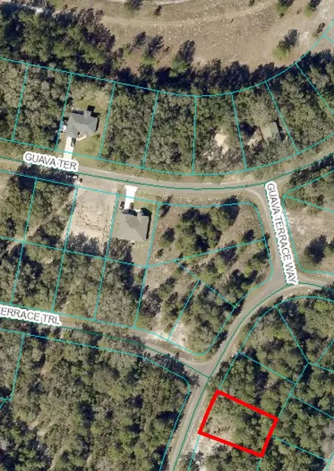 00 Guava Ter Trl, Ocklawaha, FL 32179