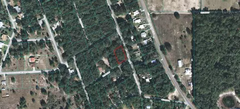 0 SE 60th St, Ocklawaha, FL 32179