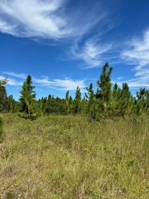 700 SE County Road 245, Lake City, FL 32055