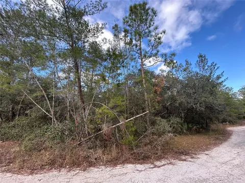 tbd NE 236 Pl, Fort Mc Coy, FL 32134