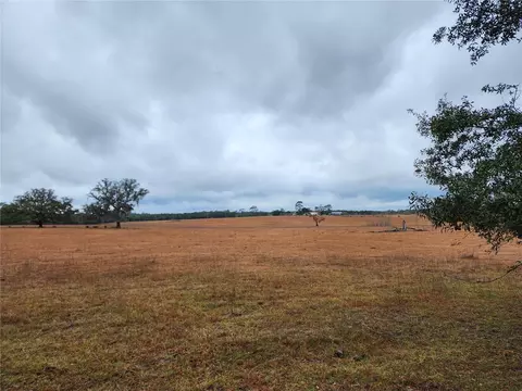 lot09 SE 125th Court Rd, Dunnellon, FL 34431