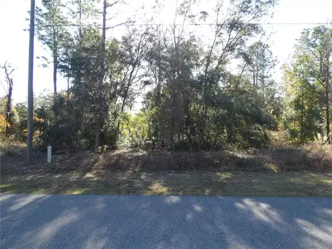 76 W Navarro Pl, Citrus Springs, FL 34434