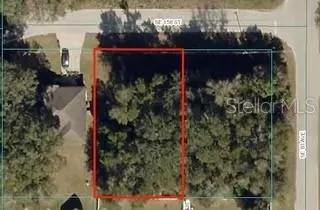 SE 156th Street, Summerfield, FL 34491
