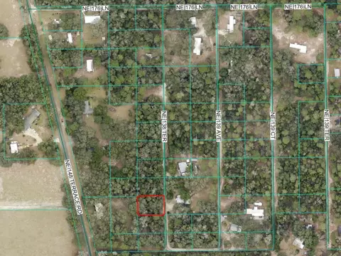 0 NE 138th Ter, Fort Mc Coy, FL 32134
