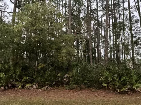 80 Edith Pope Dr, Palm Coast, FL 32164