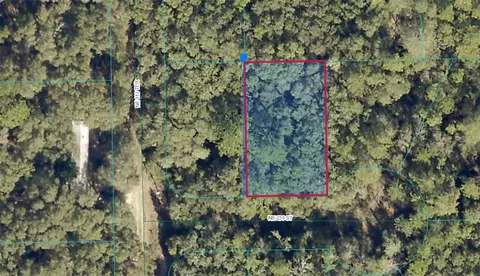00 NE 239th St, Fort Mc Coy, FL 32134