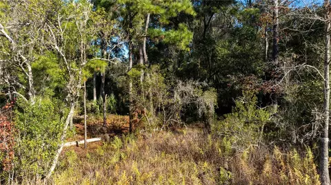 00 W Henry Blair Ln, Dunnellon, FL 34434