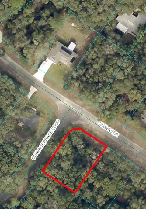 00 Guava Ter, Ocklawaha, FL 32179