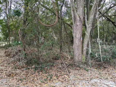 Sw 146th Place, Dunnellon, FL 34432