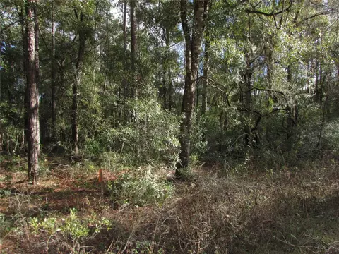 lot6 SW 161 Court Rd, Ocala, FL 34481