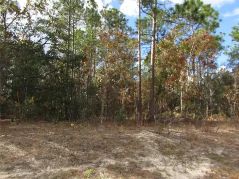 lot5 SW 6 Sw 168 Cir, Ocala, FL 34481