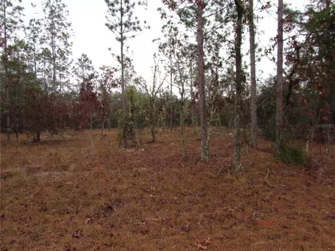 lot57 SE 131 Ter, Dunnellon, FL 34431