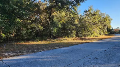 10189 N Sabre Dr, Citrus Springs, FL 34434