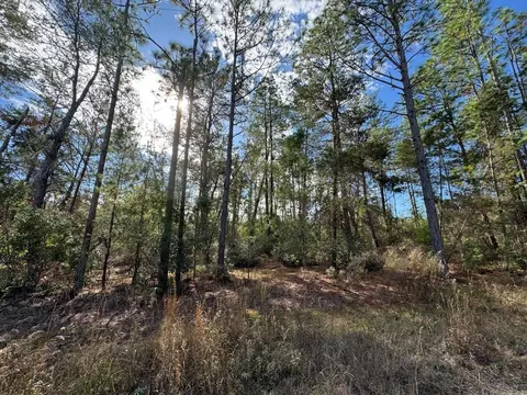 NE 133rd Street, Salt Springs, FL 32134