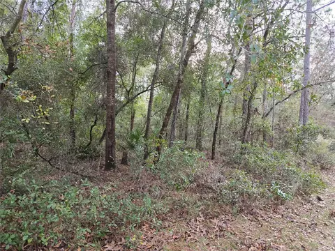 0 SW 152 Pl, Dunnellon, FL 34432