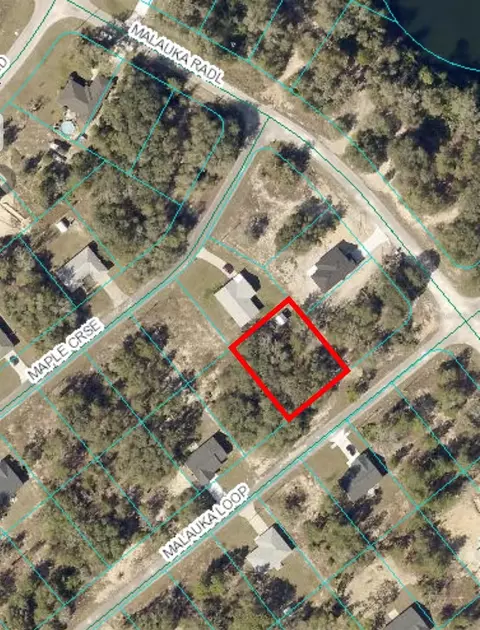 Malauka Loop, Ocklawaha, FL 32179
