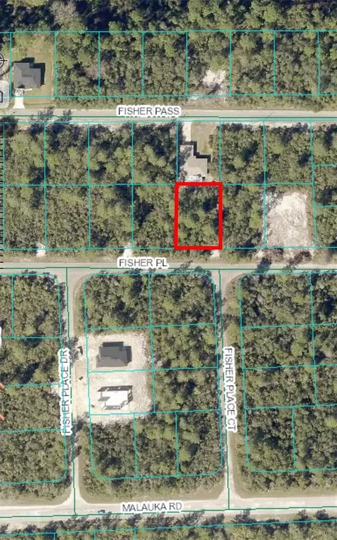 0 Fisher Pl, Ocklawaha, FL 32179