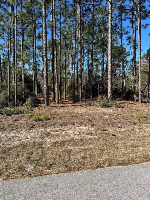 00 SW 209th Ave, Dunnellon, FL 34431
