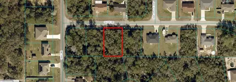 Olive Drive, Ocala, FL 34472