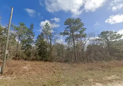 13510 Downy Woodpecker Rd, Weeki Wachee, FL 34614