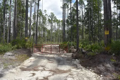 Ne 130th Ave, Fort Mc Coy, FL 32134