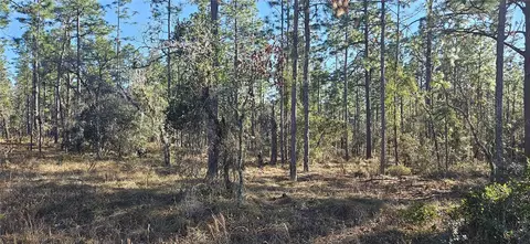 lot13 NW Water Oak Ave, Dunnellon, FL 34431