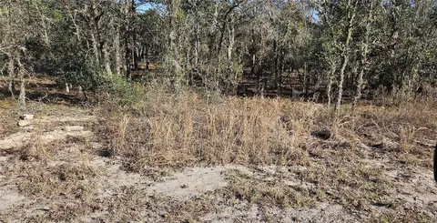 lot34 SW Arrow Leaf Trl, Dunnellon, FL 34431