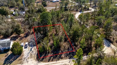 NE 60 Lane, Bronson, FL 32621