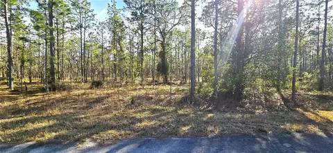 lot13 NW Mandrake Dr, Dunnellon, FL 34431