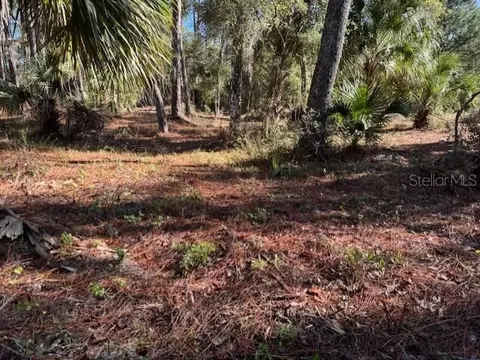 8779 N Ramble Pt #17, Citrus Springs, FL 34434