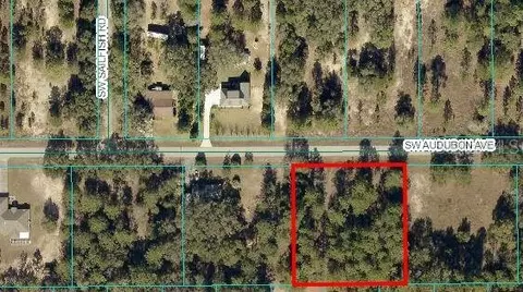 00 SW Audubon Ave, Dunnellon, FL 34431