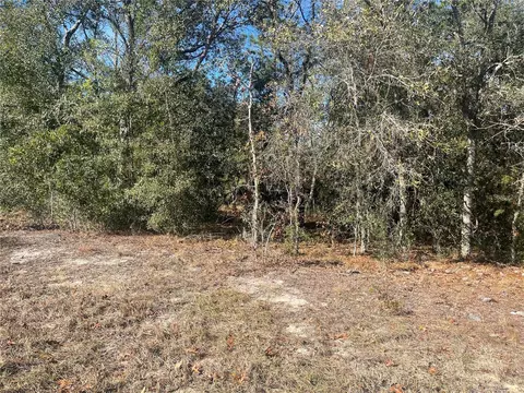 NE 152 Terrace, Williston, FL 32696
