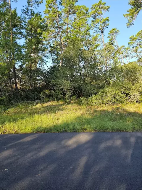 00 SW 167 Pl, Ocala, FL 34473