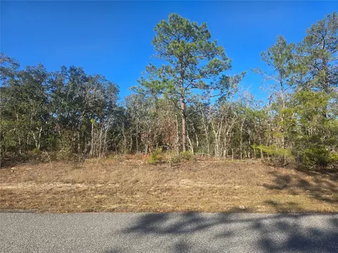 3489 W Eunice Dr, Dunnellon, FL 34433