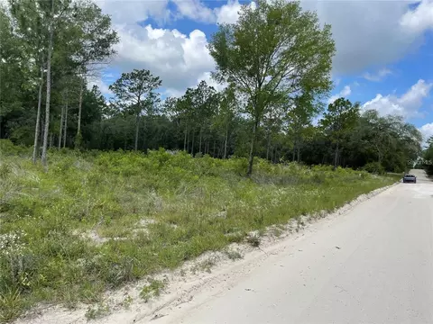 tbd SE 23rd Pl, Morriston, FL 32668