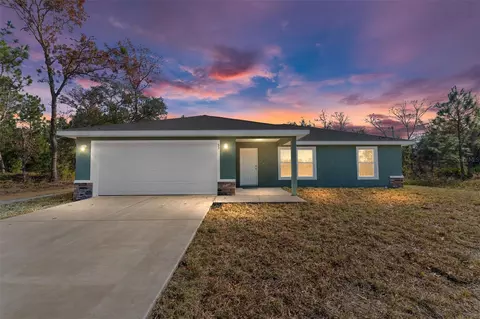53 Guava Pl, Ocklawaha, FL 32179