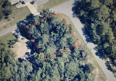 8170 N Hillview Cir, Citrus Springs, FL 34434