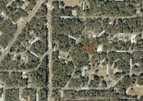 Guava Pass Ct, Ocklawaha, FL 32179