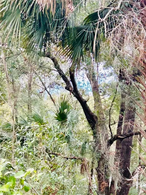 Tba Sw 97th Loop Lot 17, Dunnellon, FL 34432
