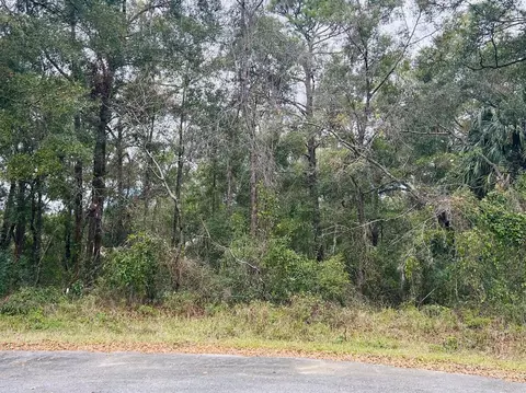 Tba Sw 97th Loop Lot 18, Dunnellon, FL 34432