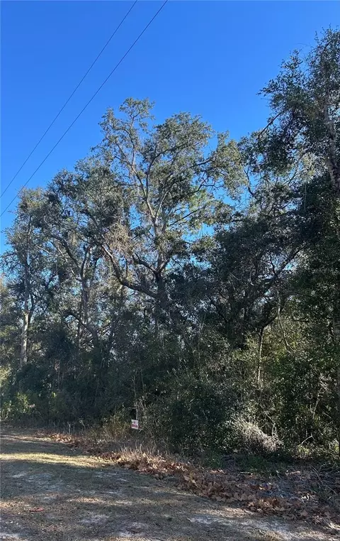 SE 18 Street, Silver Springs, FL 34488