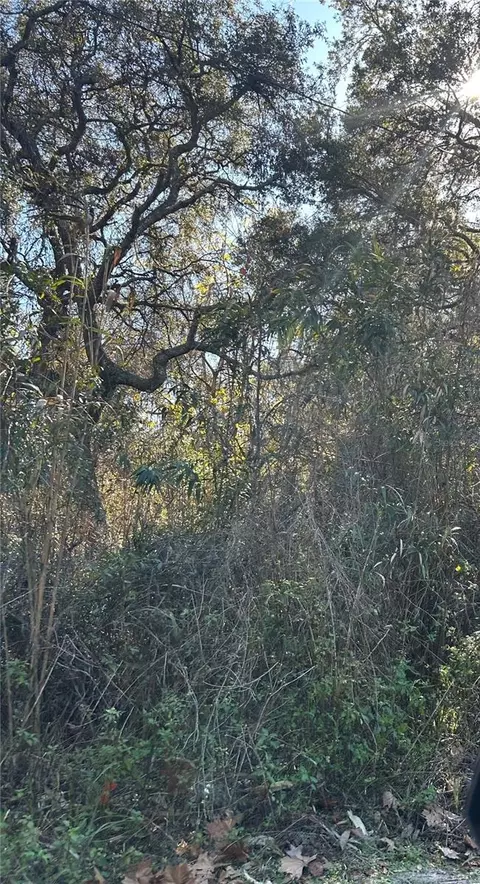 SE 19 Street, Silver Springs, FL 34488