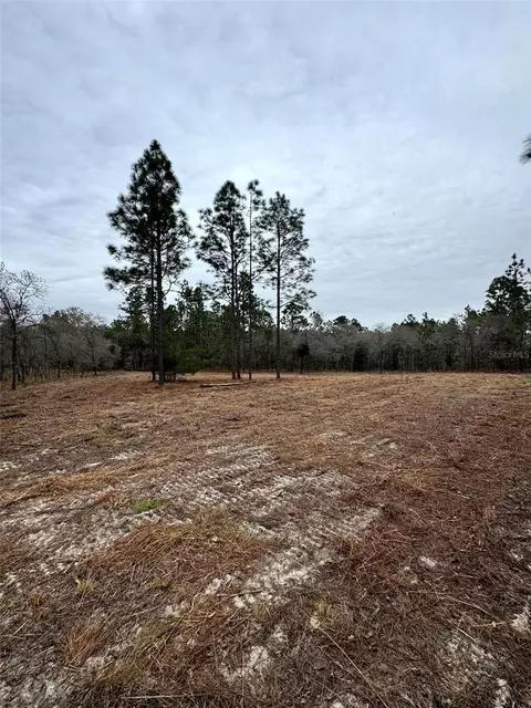 tbd SE 133rd Ter, Morriston, FL 32668