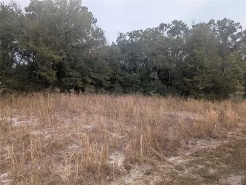 tbd Locust Run, Ocala, FL 34472