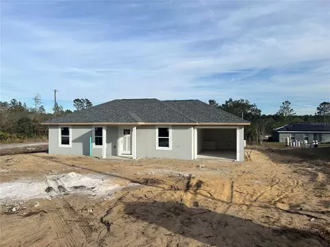 111 Fisher Trace Dr, Ocklawaha, FL 32179