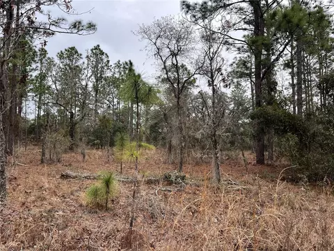 lot57 NW Skylark St, Dunnellon, FL 34431