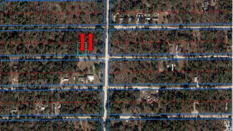 Tba NE 66 Street/65 Lane, Williston, FL 32696