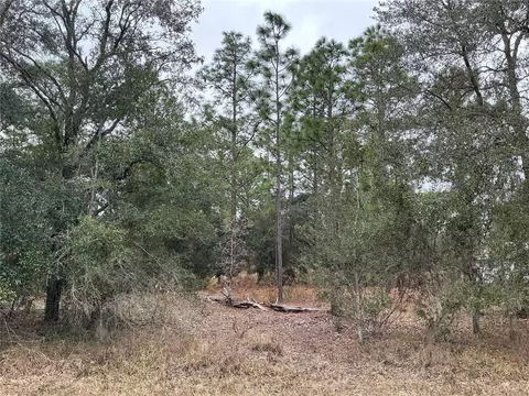 00 Avalon Rd, Dunnellon, FL 34431