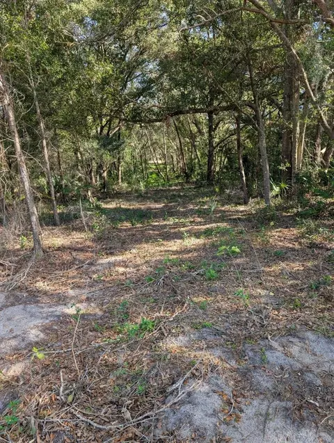 17697 S Hwy 25, Weirsdale, FL 32195